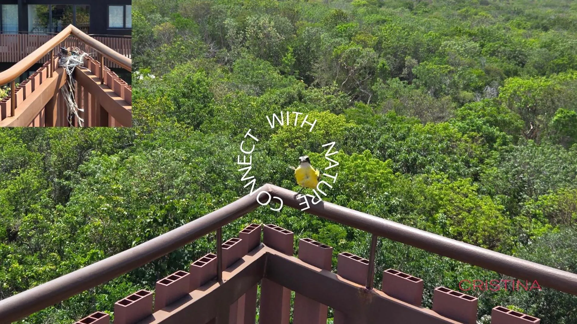 Apartment With Private Jacuzzi, Rooftop Pools & Free Beach Club トゥルム